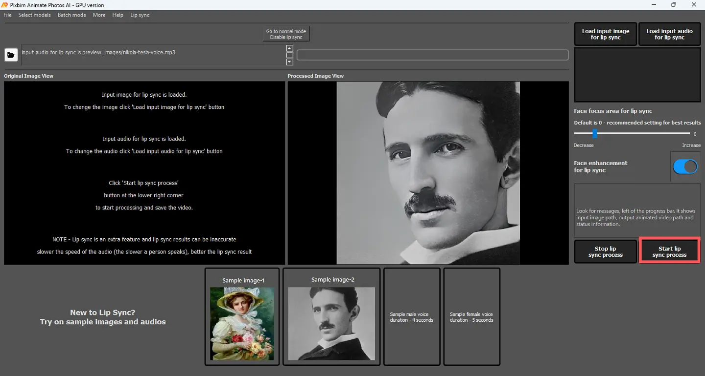 screenshot shows starting the lip sync animation processe on pixbim animate photos ai software
