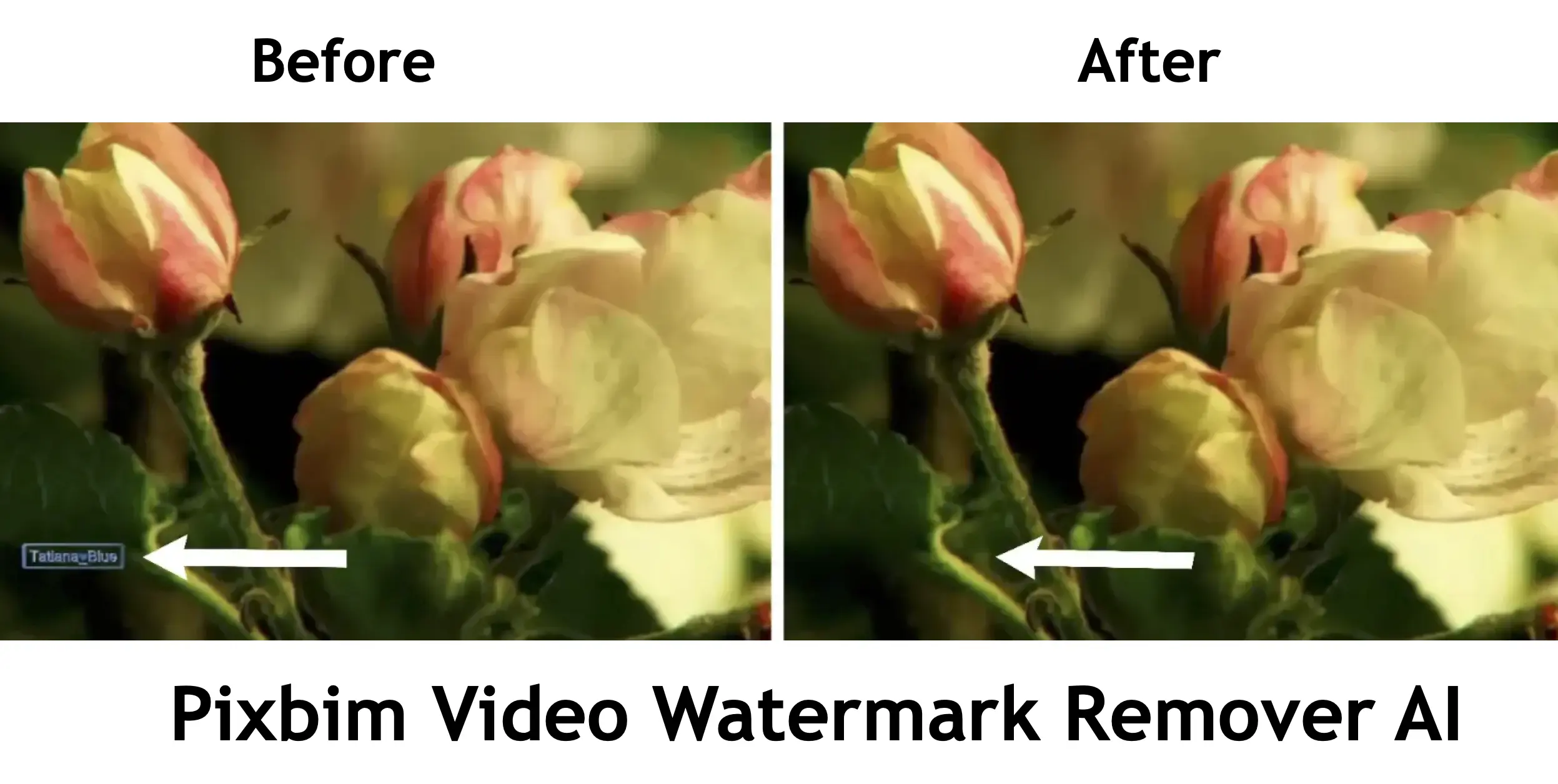 remove watermark from video