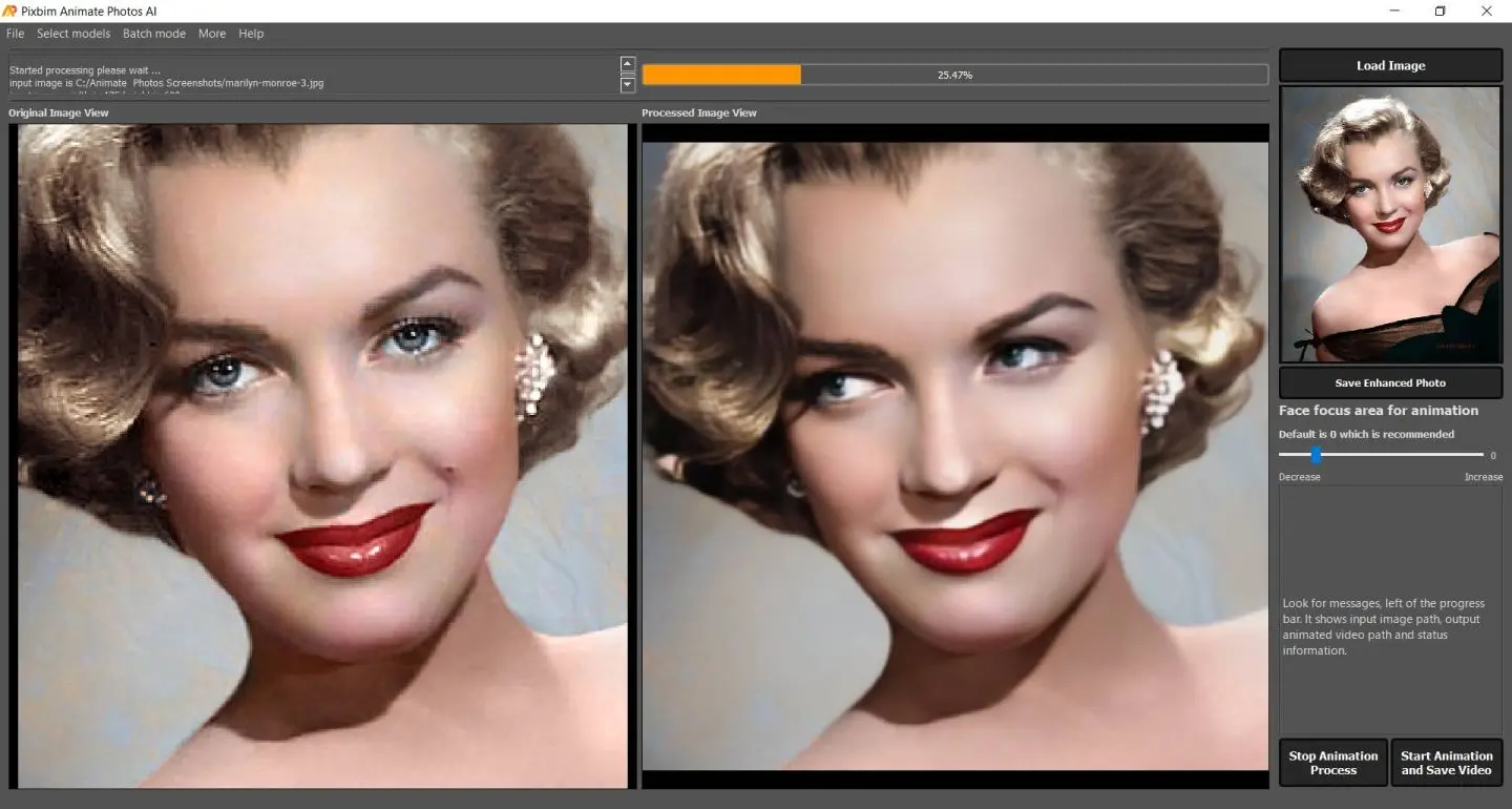 Colorize images. Animation photo.