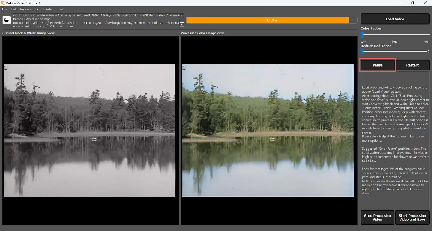 The screenshot shows pause option in the Pixbim Video Colorize AI 