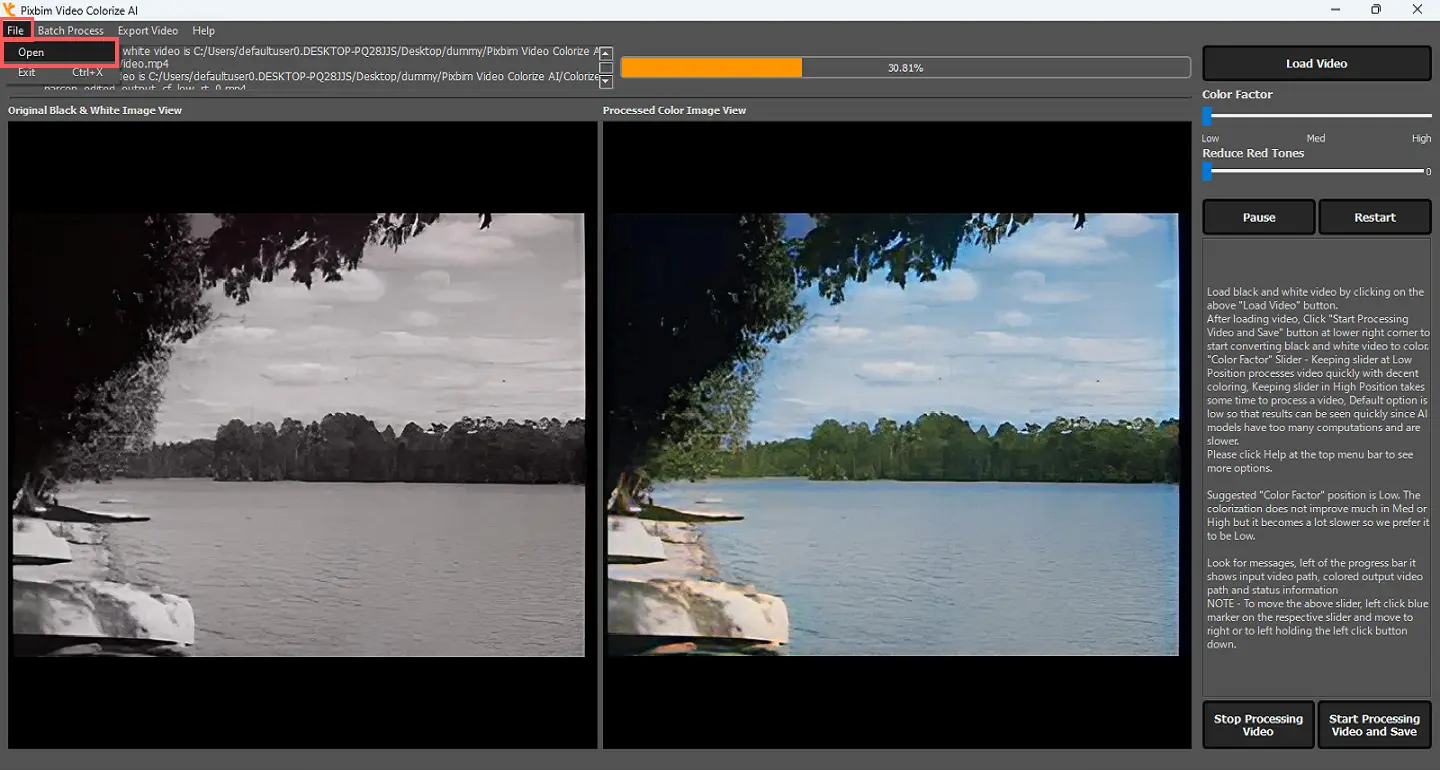 The screenshot shows option file open in the Pixbim Video Colorize AI