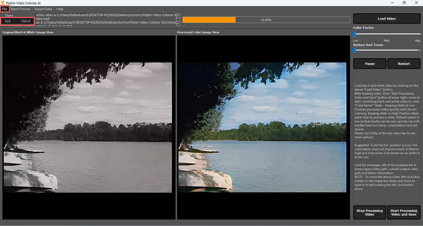 The screenshot shows option file exit in the Pixbim Video Colorize AI