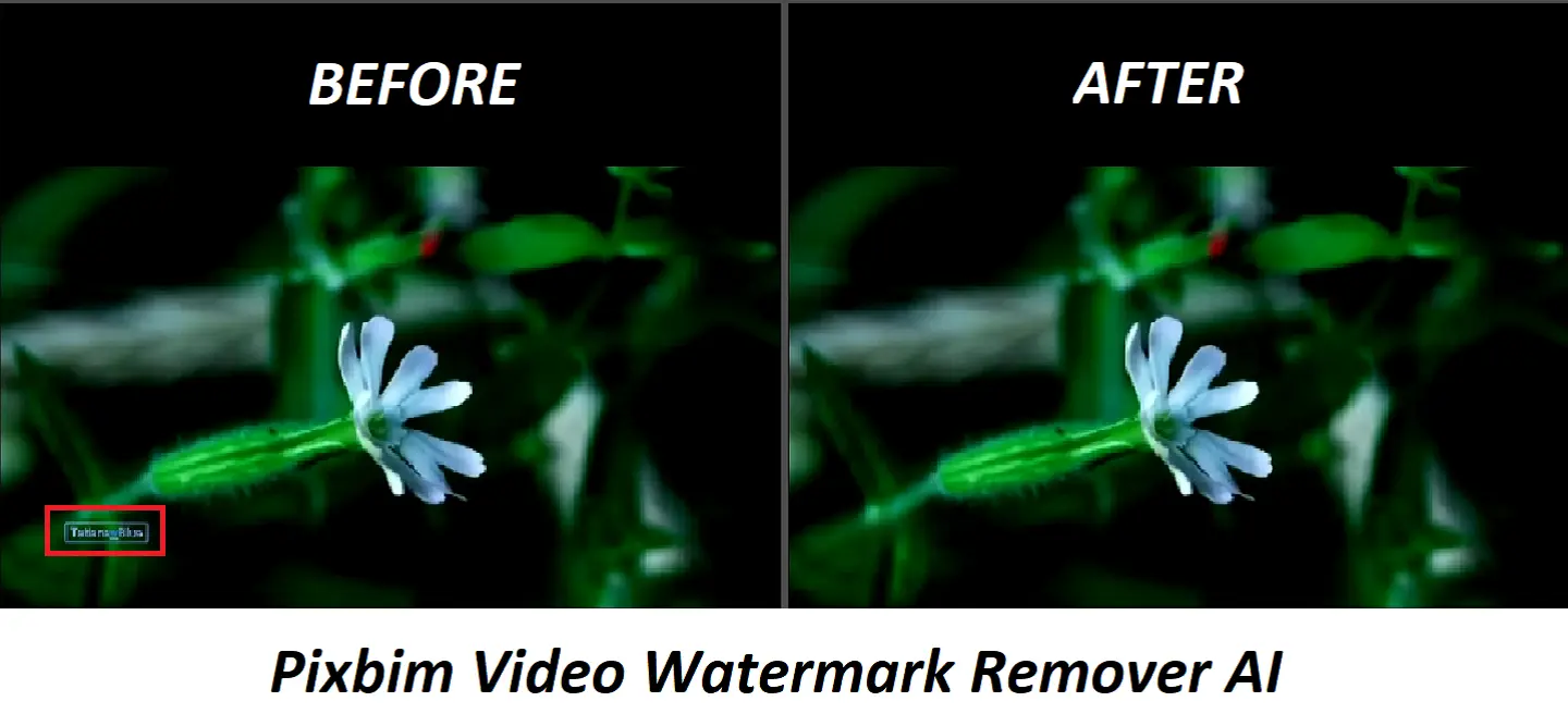 remove watermark from tiktok
