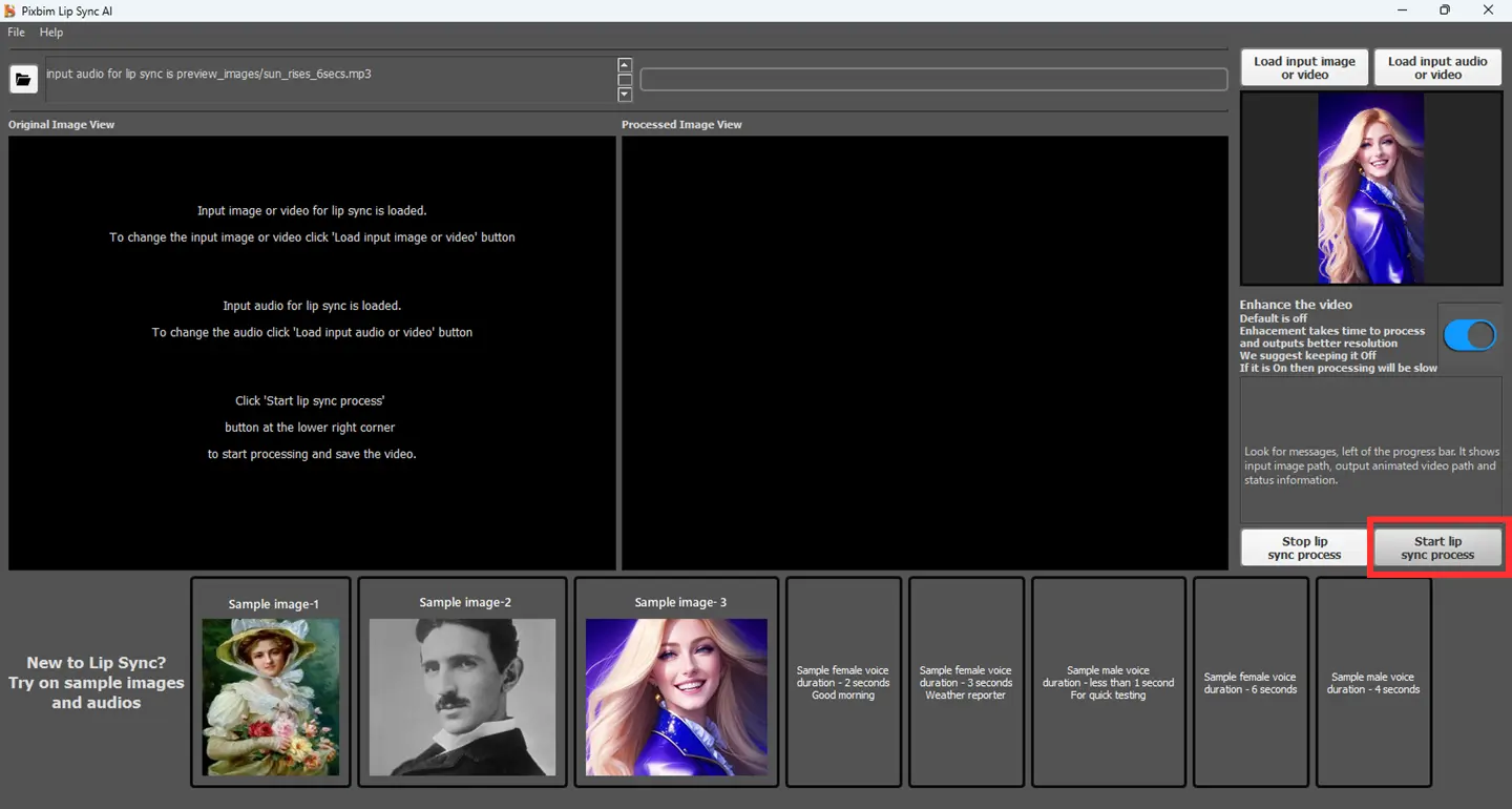 screenshot shows starting the lip sync animation processe on pixbim animate photos ai software