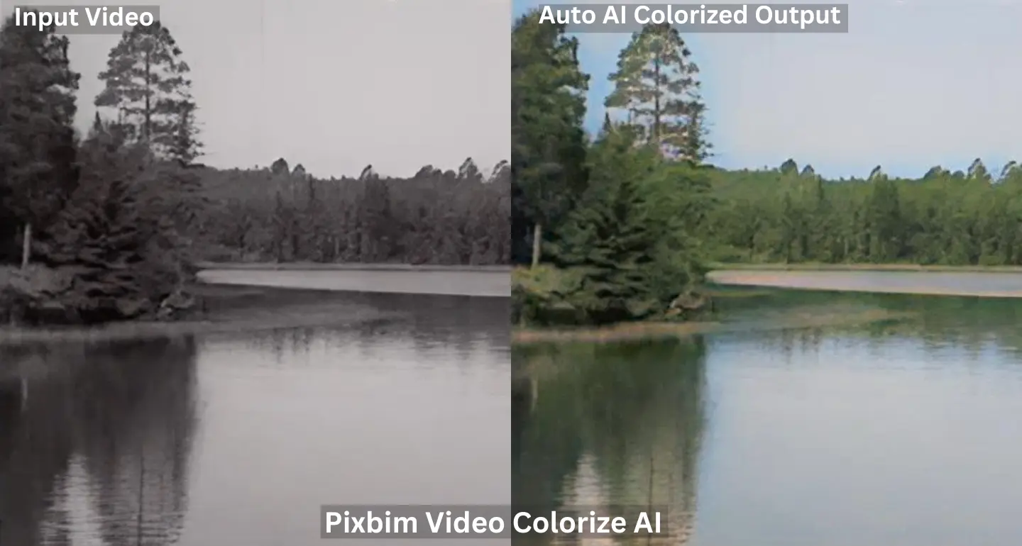 side-by-side comparative screenshot revealing the transformation from a black and white input video frame to an AI-upscaled output frame Pixbim Video Colorize AI