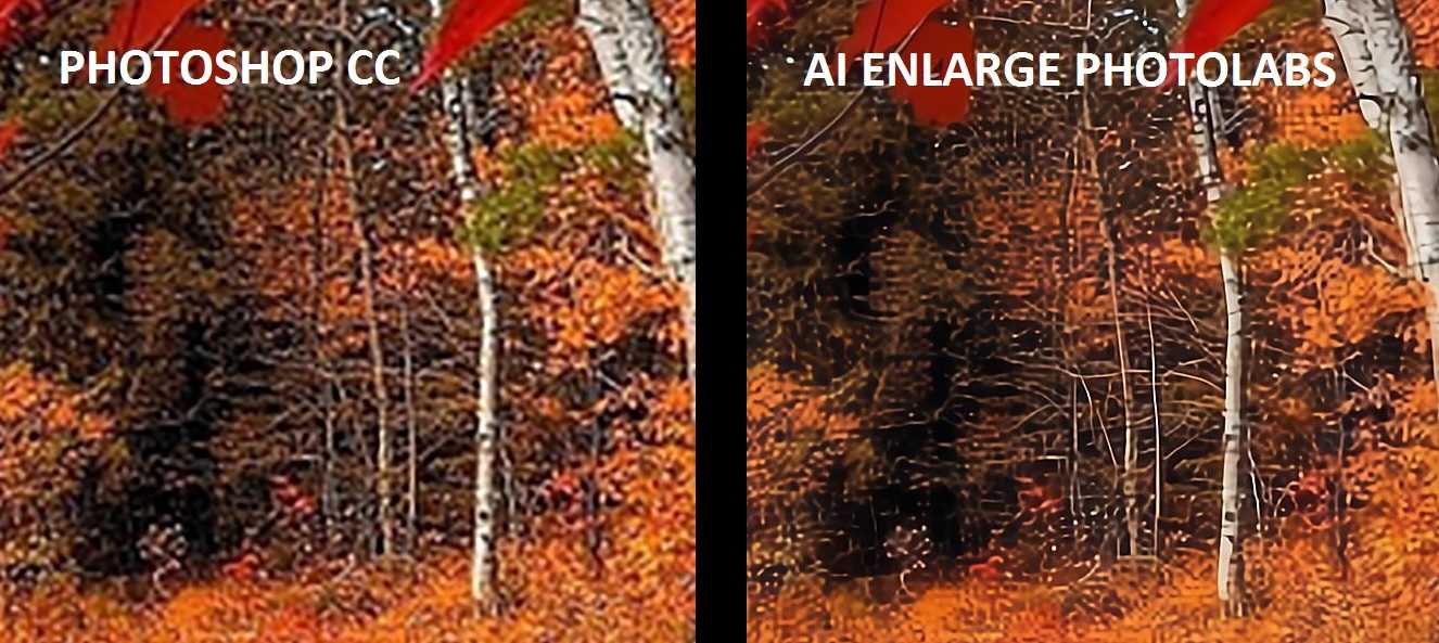 AI Enlarge PhotoLabs | PixBim