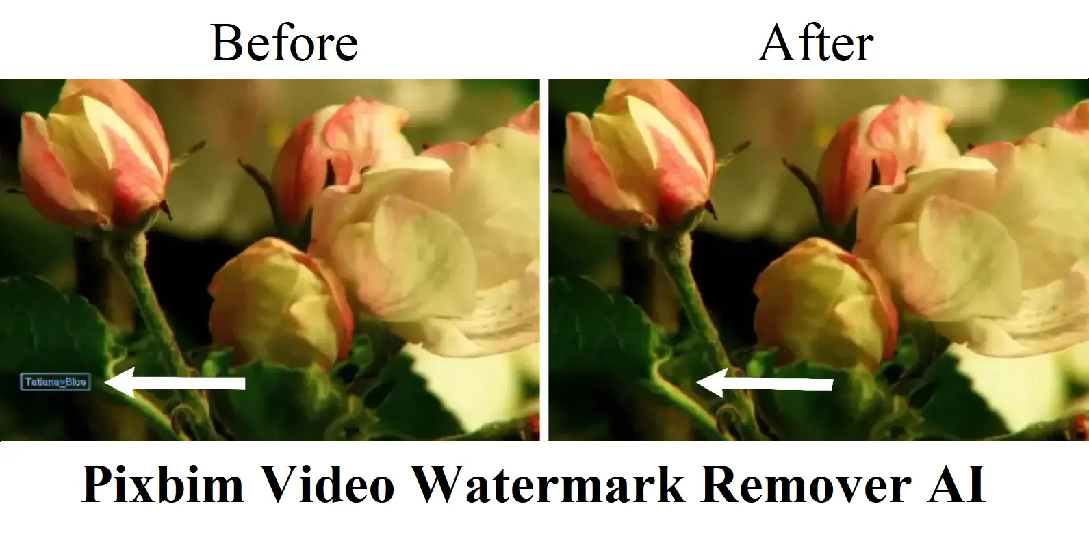 remove watermark from video