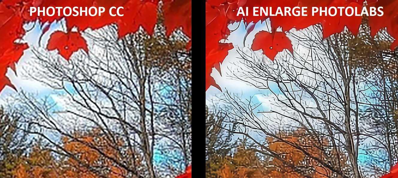 comparison between high quality photoshop and high quality AI Enlarge photos